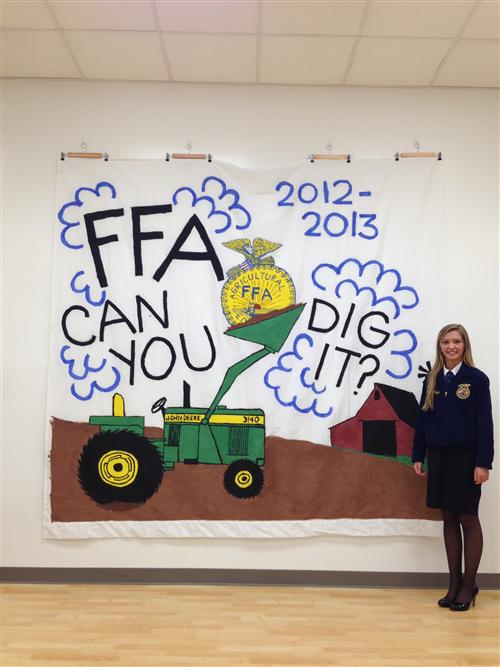 2012-2013 FFA 